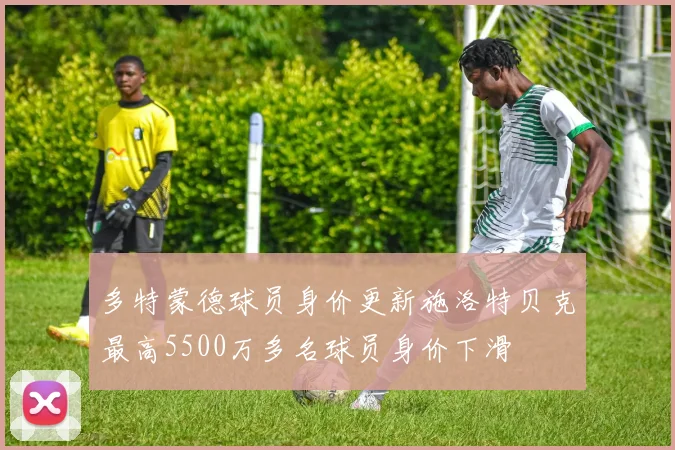 多特蒙德球员身价更新施洛特贝克最高5500万多名球员身价下滑